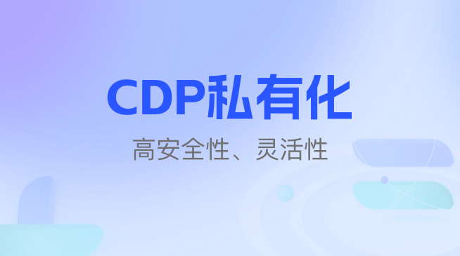 CDP私有化：安全性与灵活性并存